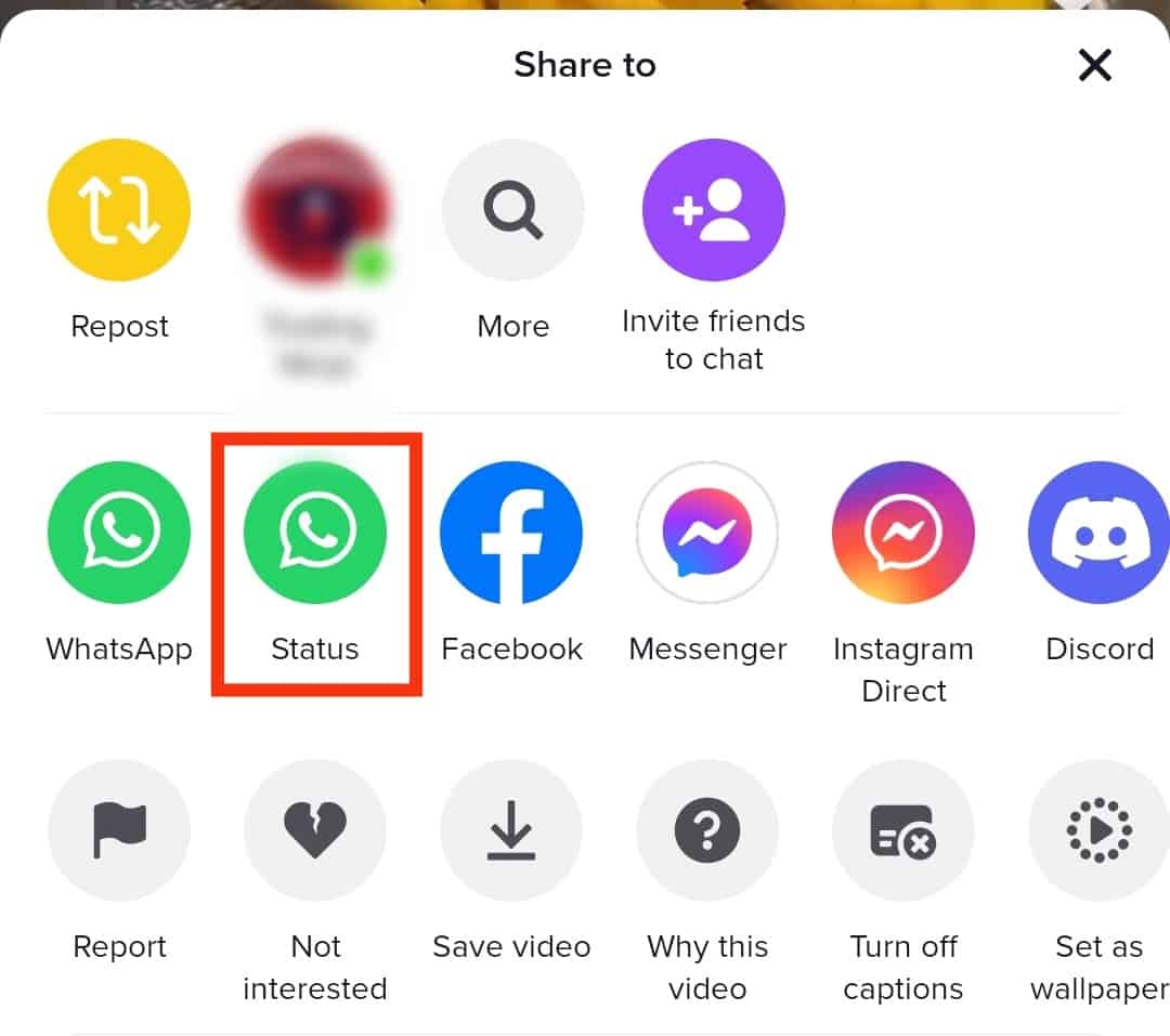 ¿Cómo compartir videos de TikTok en WhatsApp?