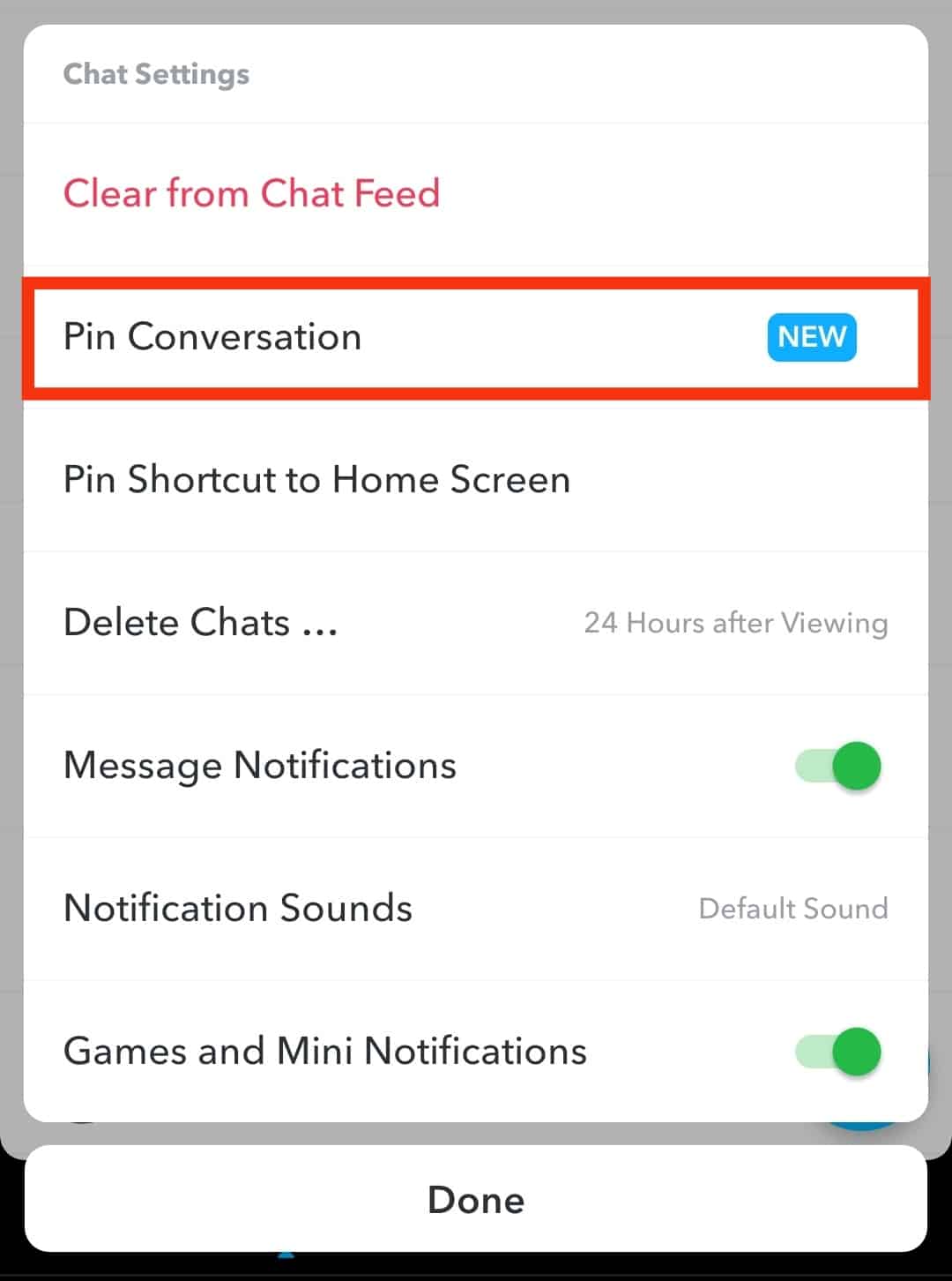 ¿Qué significa "Pin Conversation" en Snapchat?
