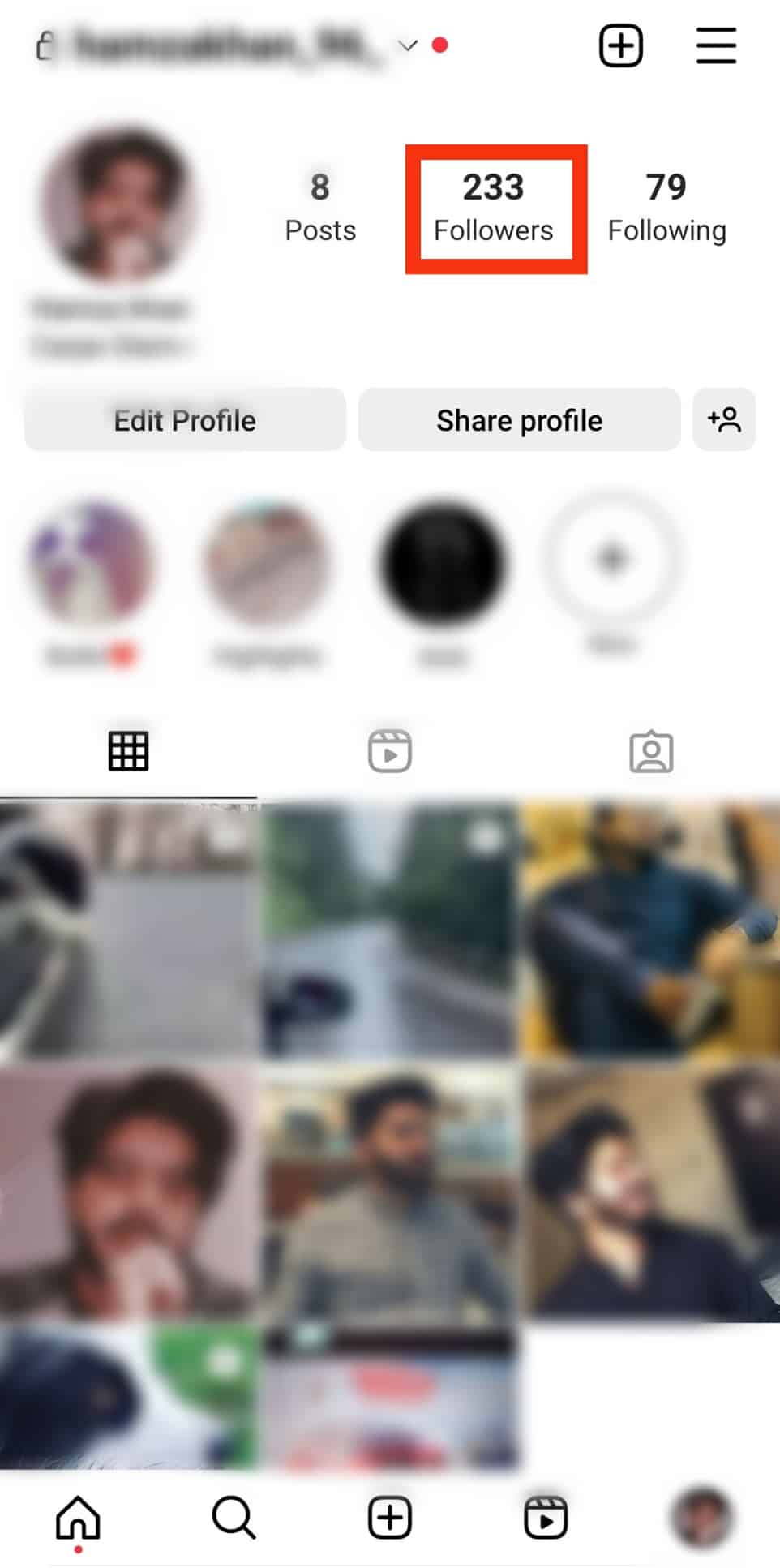 Quién puede ver a mis seguidores en Instagram?