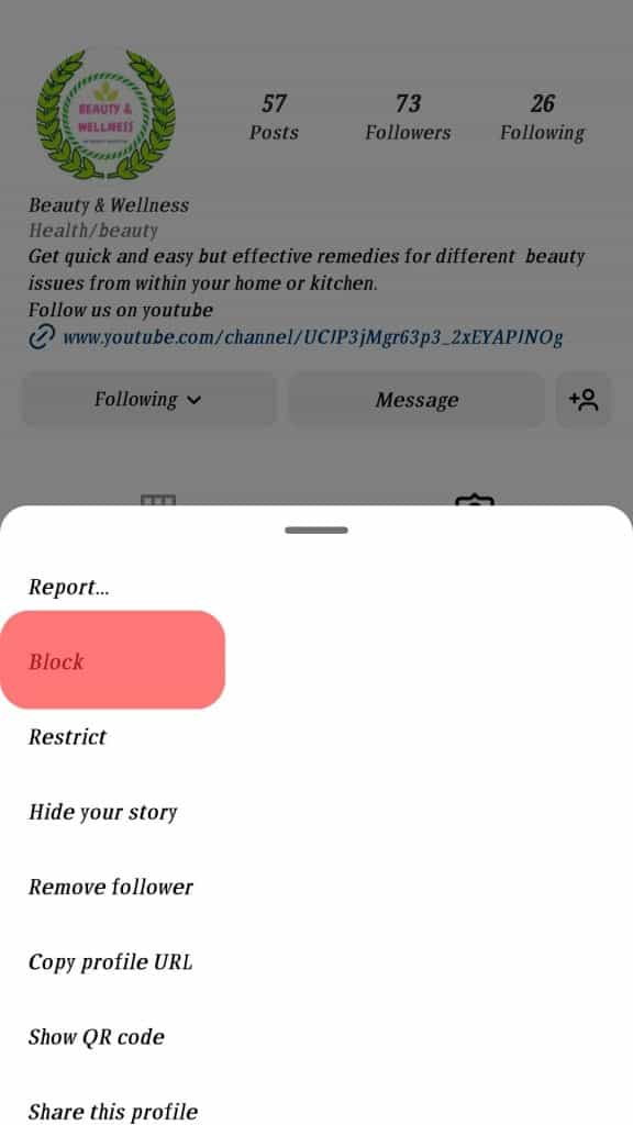 ¿Puedes enviarle un mensaje a alguien que te bloqueó en Instagram?