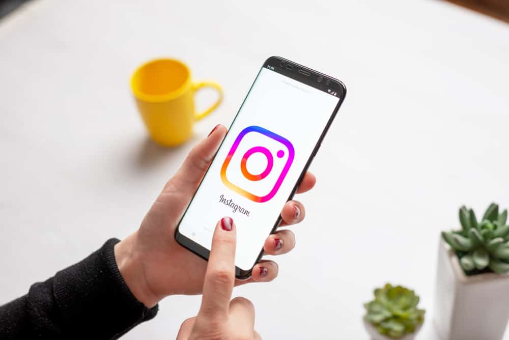 Cómo hacer tu Instagram Bio Dos Líneas
