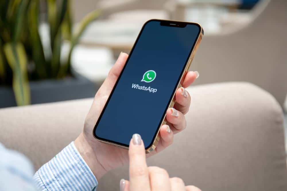 Cómo llegar WhatsApp Más en iPhone