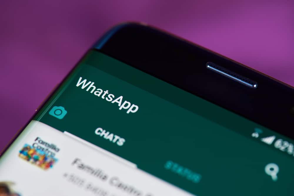 Cómo saber si alguien te silenció en WhatsApp