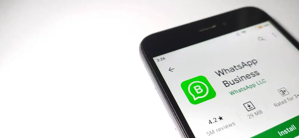 Cuál es la diferencia entre WhatsApp y WhatsApp ¿Negocio?