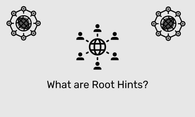 ¿Qué son las sugerencias de raíz? | TIEngranaje