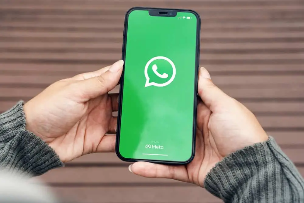 ¿Qué significa "Ocupado" en WhatsApp?