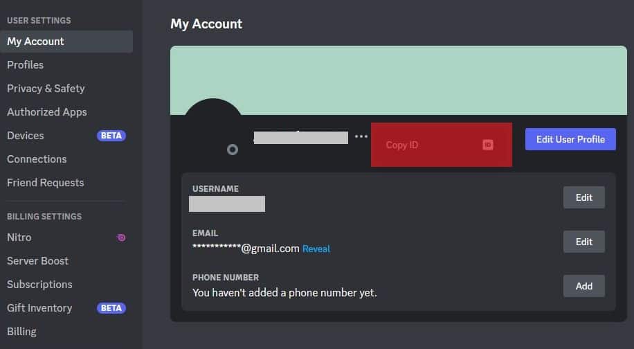 Cómo compartir Discord ¿Enlace de perfil?