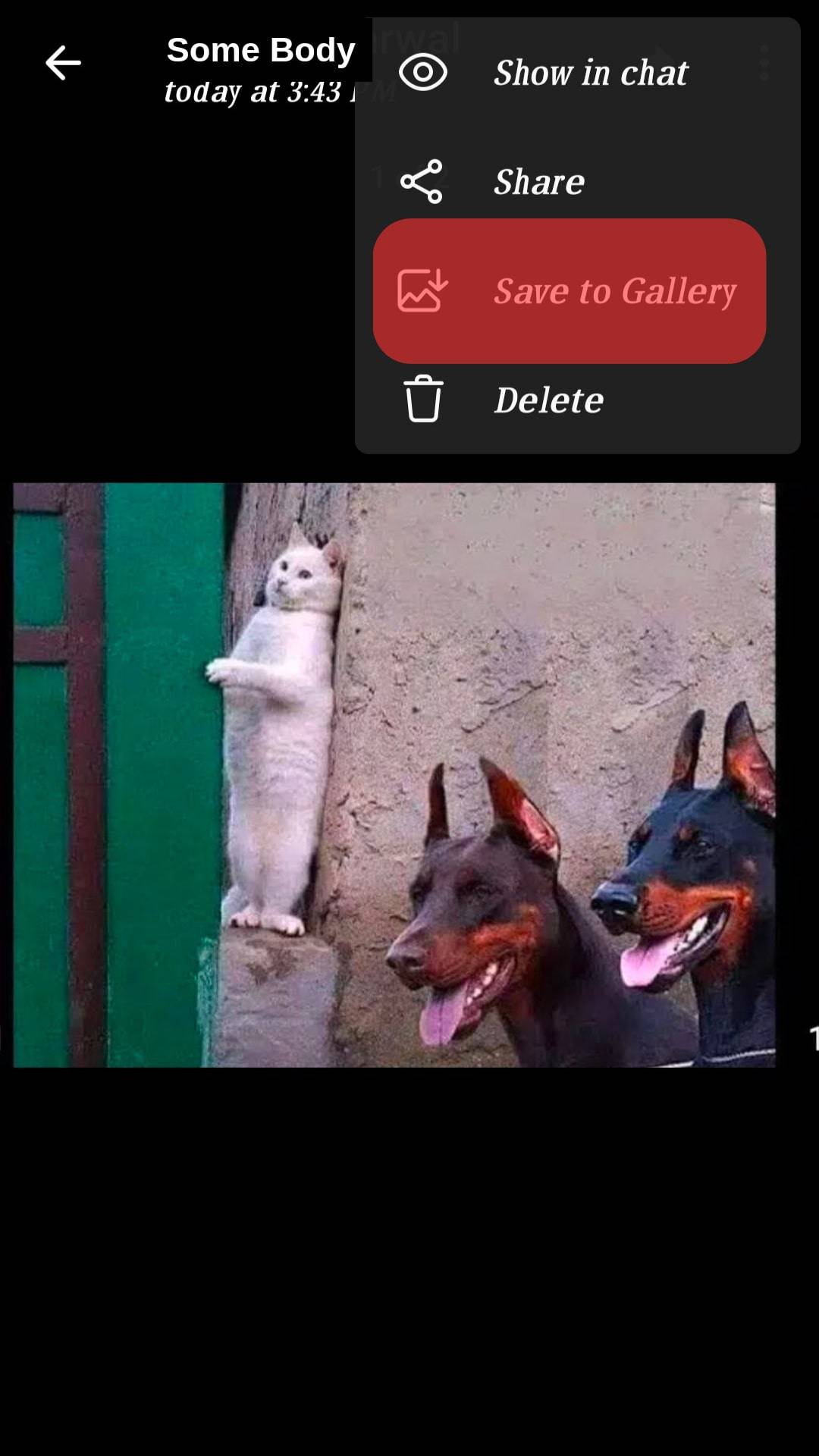 Hace Telegram ¿Notificar cuando guardas una foto?