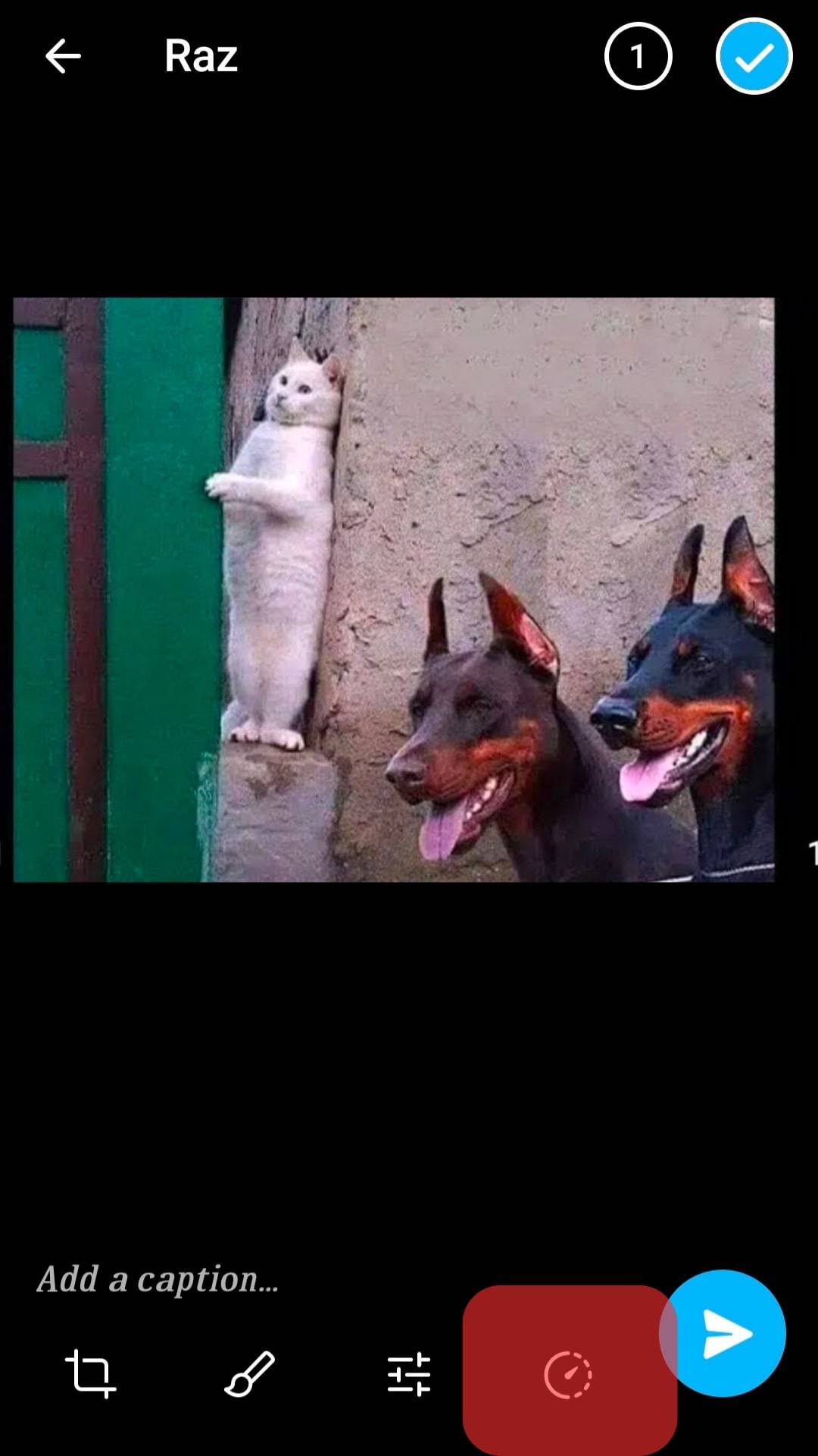 Hace Telegram ¿Notificar cuando guardas una foto?