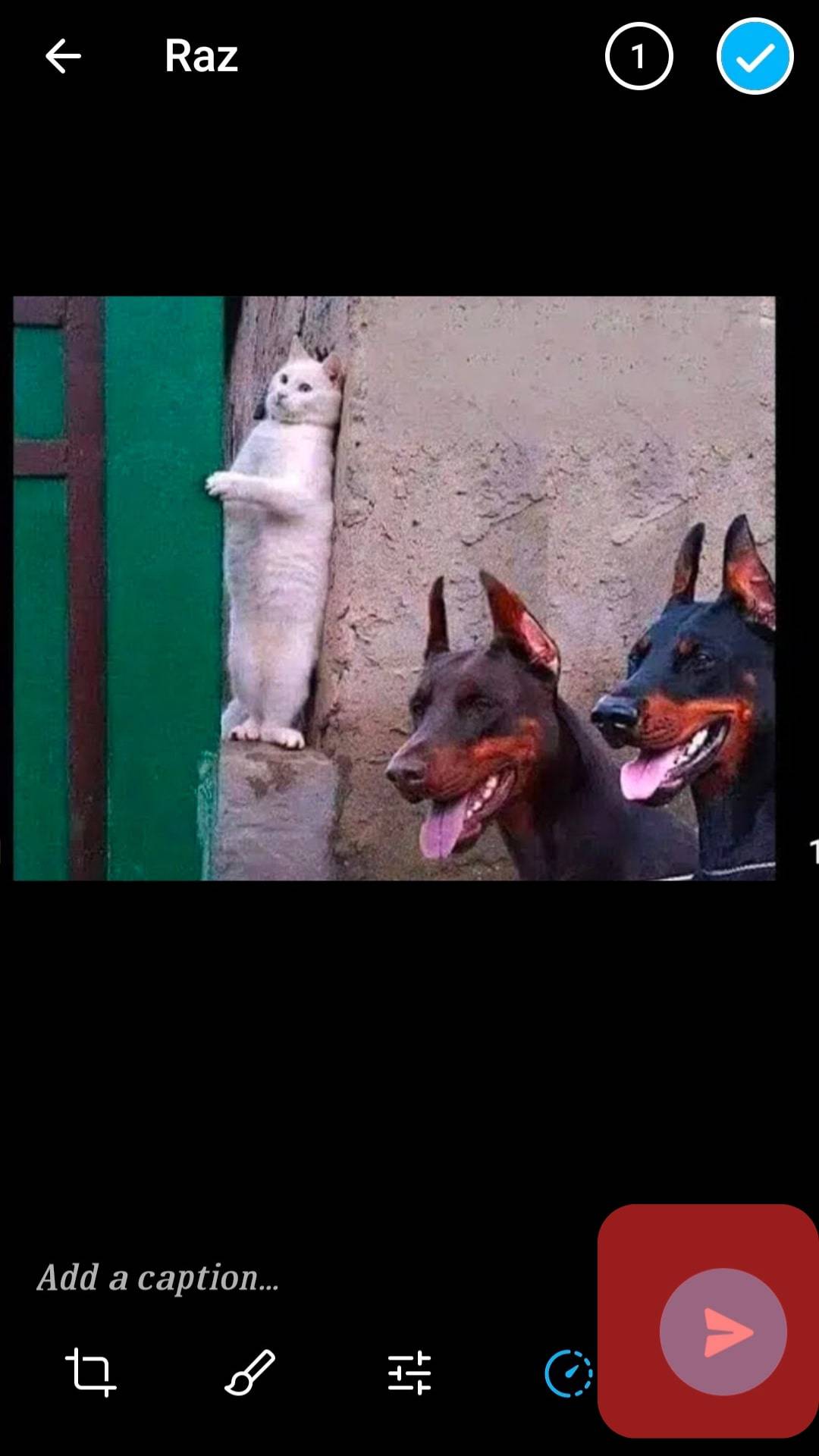 Hace Telegram ¿Notificar cuando guardas una foto?