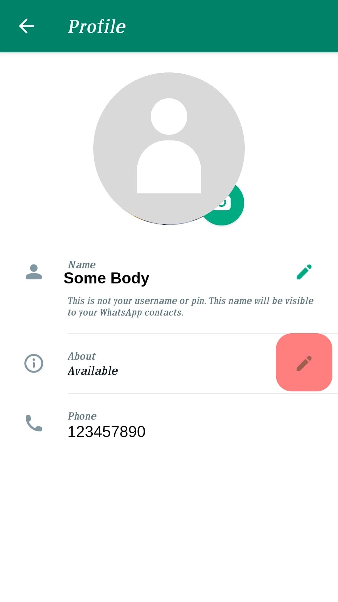 ¿Qué significa «Ocupado» en WhatsApp?