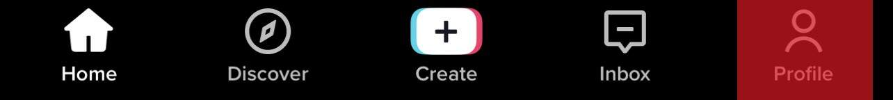 ¿Por qué son mis TikTok ¿Vídeos borrosos?