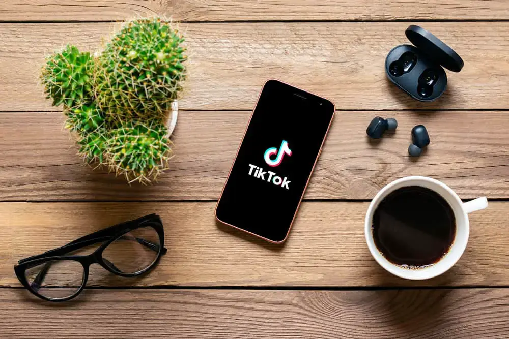 Cómo cambiar sus intereses en TikTok Cómo cambiar sus intereses en TikTok