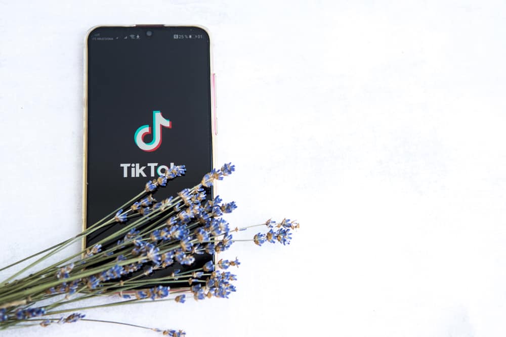 Cómo ocultar seguidores en TikTok