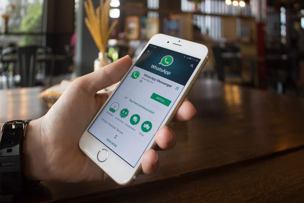 Cómo reiniciar WhatsApp en iPhone