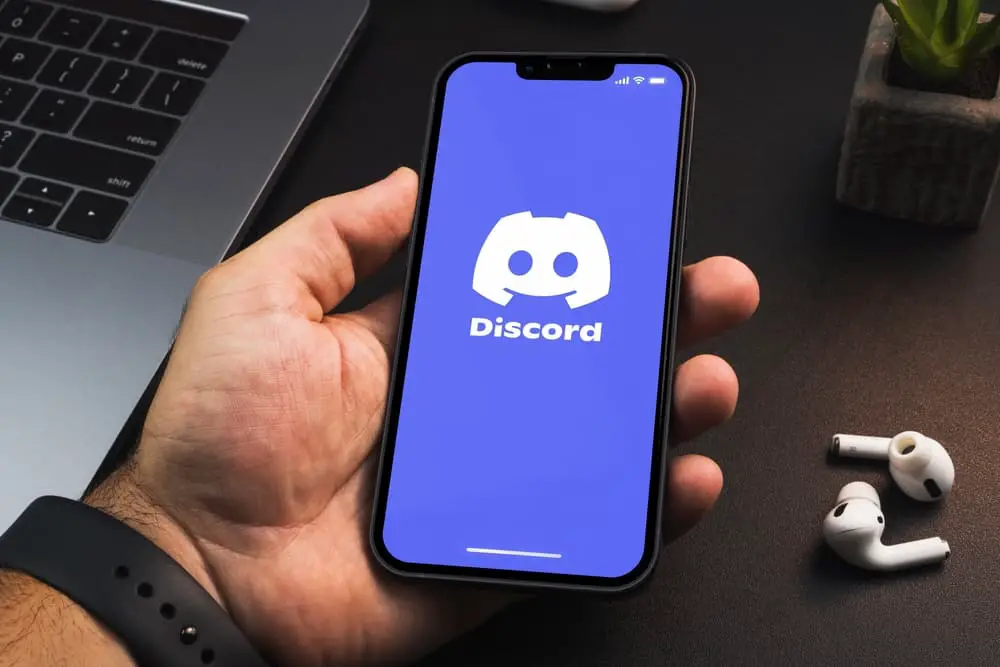 Cómo usar el robot de reglas Discord?