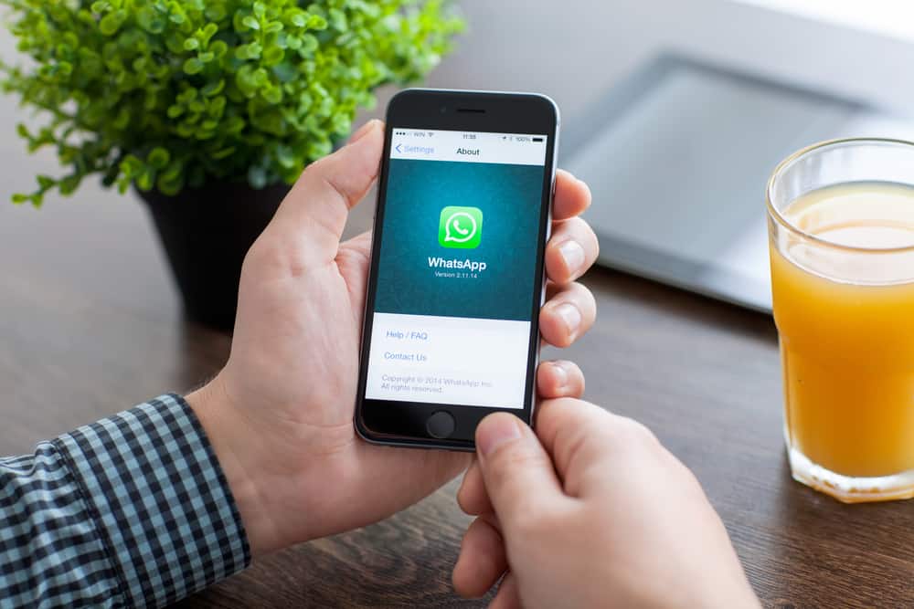 Por que WhatsApp ¿Se ve diferente en el iPhone?