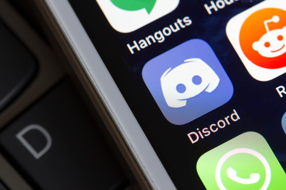 Qué poner Discord bio?
