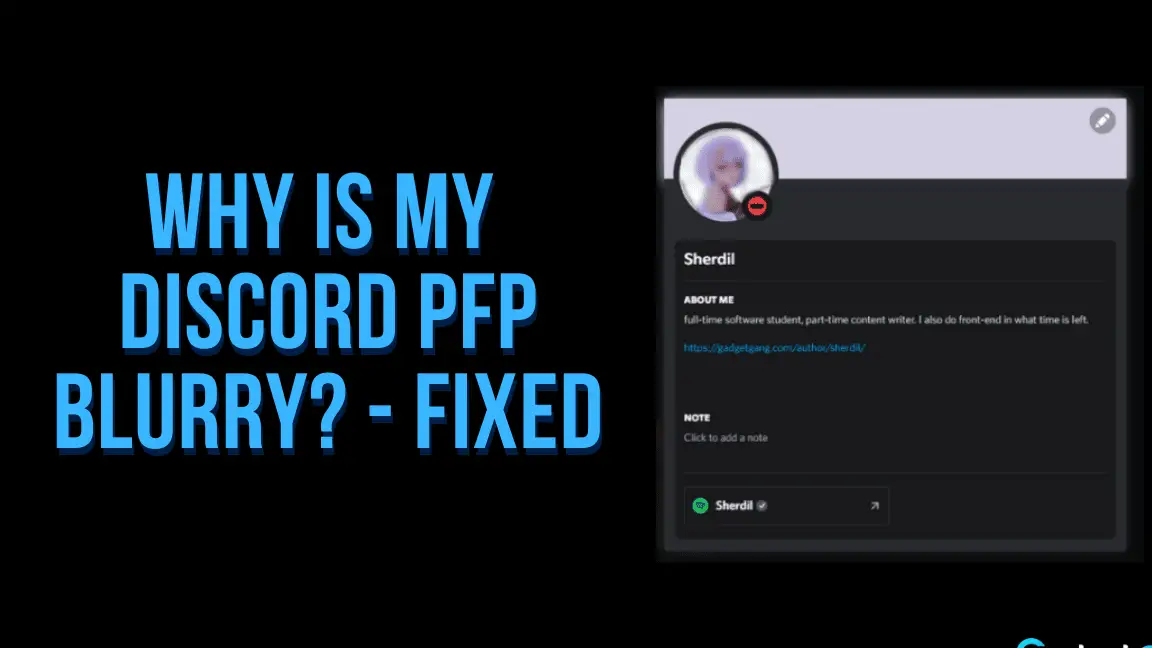 ¿Por qué mi Discord Pfp está borroso?