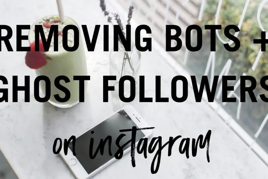 Bots y seguidores fantasma: Limpiar tu cuenta de Instagram ...