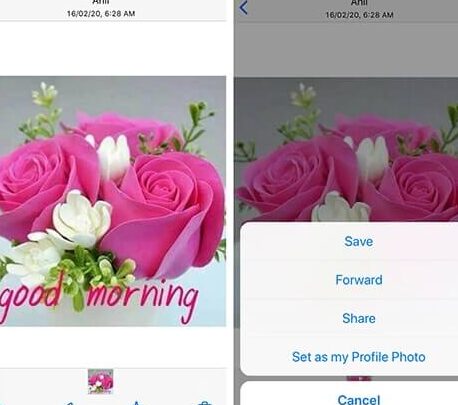 Cómo enviar fotos desde WhatsApp al correo electrónico: guía definitiva [2024]