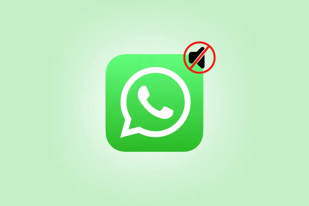 Cómo saber si alguien te silenció en WhatsApp – TechCult