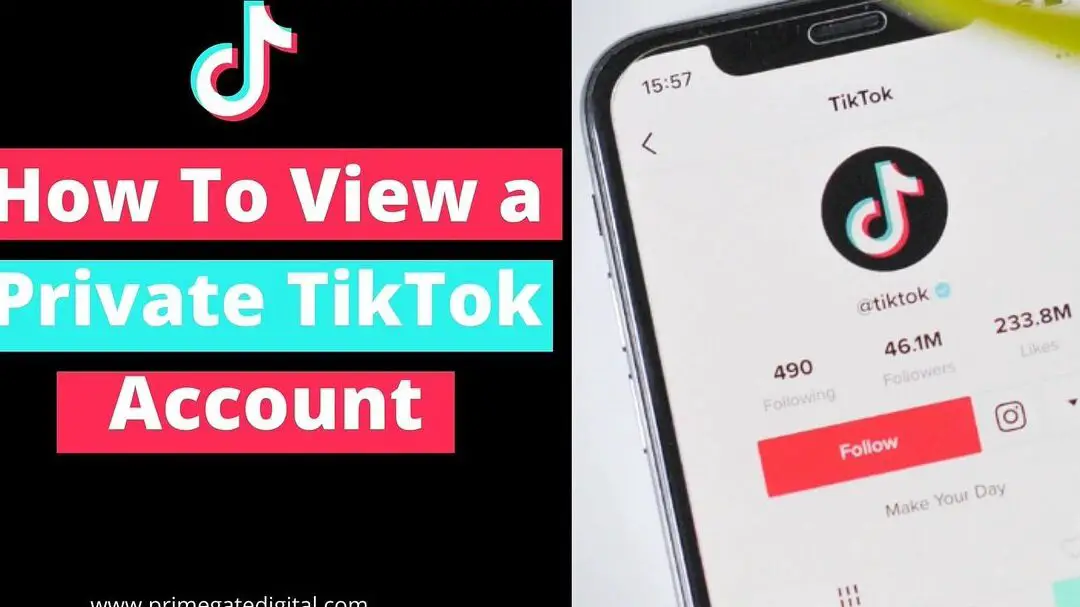 TOP 7 aplicaciones de visualización de cuentas privadas de TikTok 👀 Herramientas