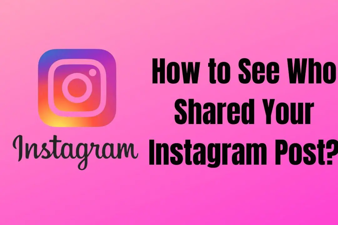 ¿Cómo ver quién compartió tu publicación de Instagram?
