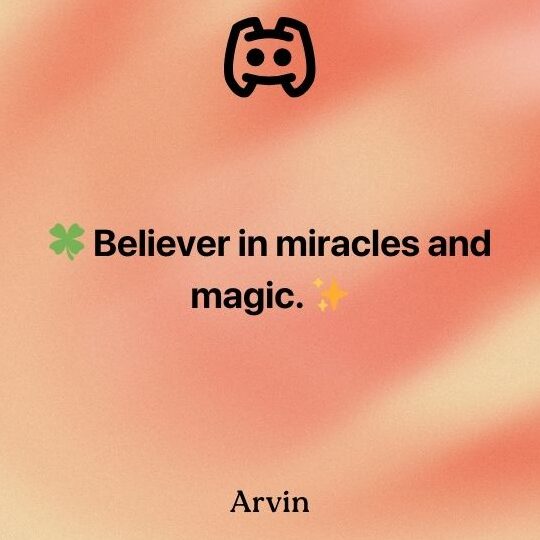 Qué poner Discord bio?