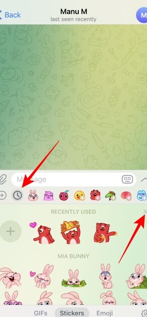 ¿Qué significan los iconos y símbolos en Telegram? TechWiser