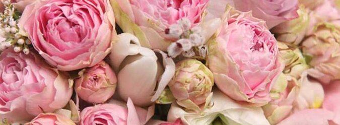 Guía del día de San Valentín sobre el significado de las rosas en números |
