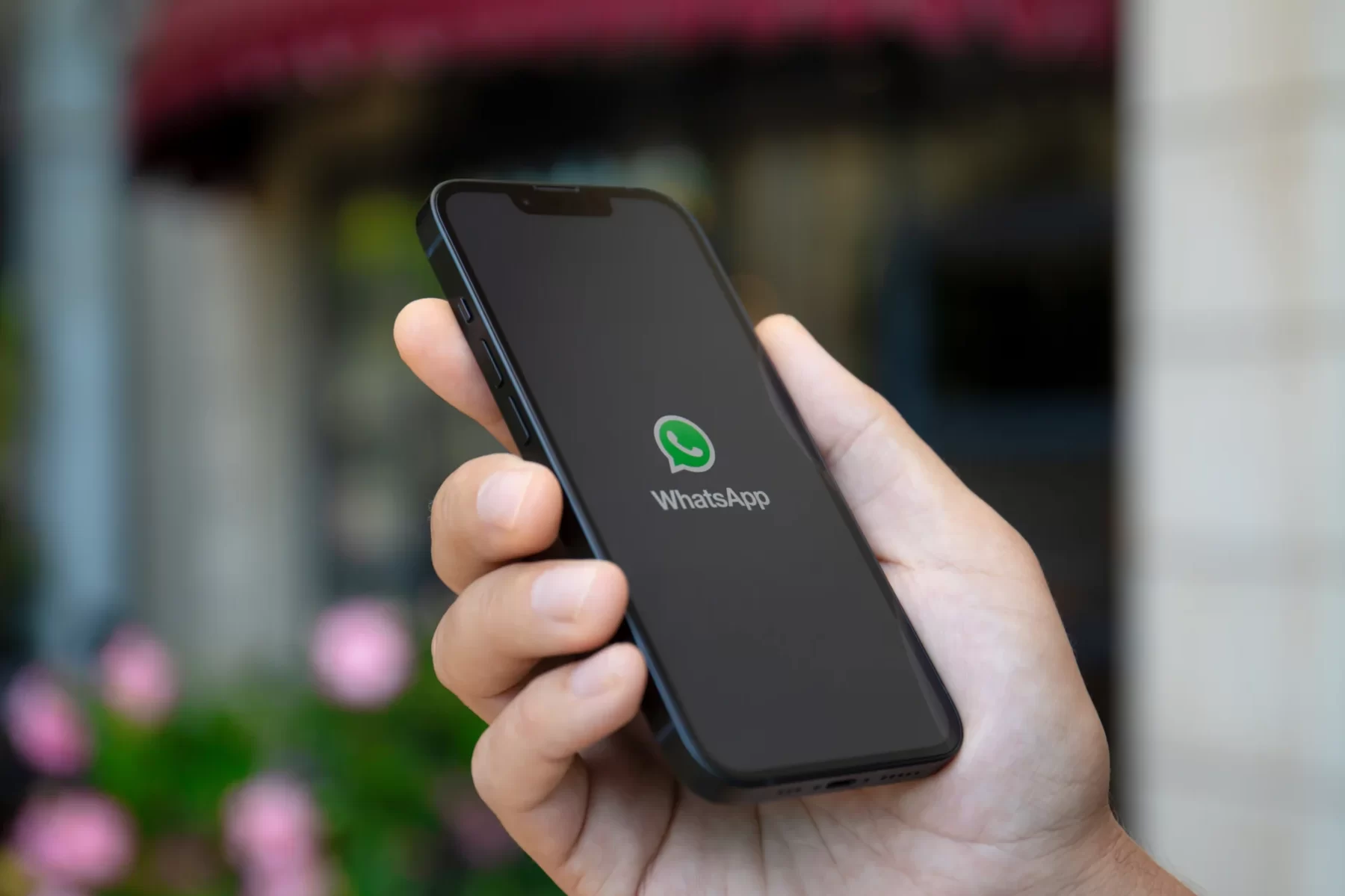 ¿Qué significa «Ocupado» en WhatsApp?
