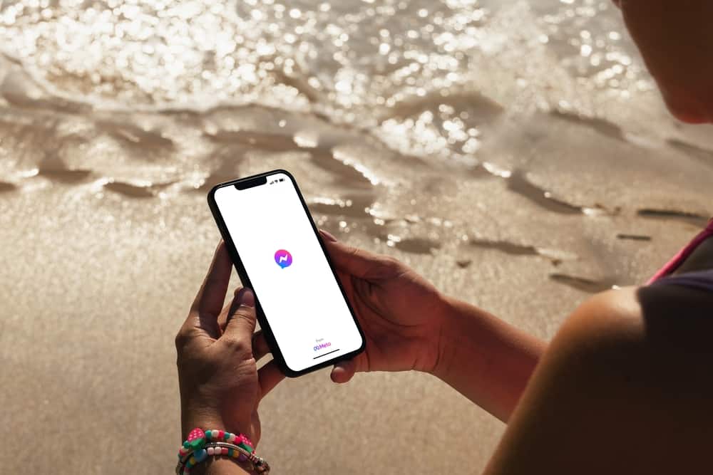 ¿Qué hace el círculo gris en Facebook? Messenger ¿Significar?