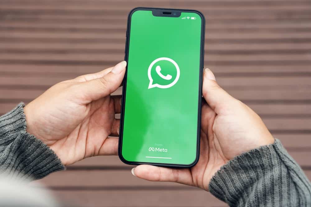 ¿Qué significa «Ocupado» en WhatsApp?
